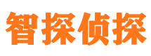 武川智探私家侦探公司